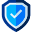 Secure Icon